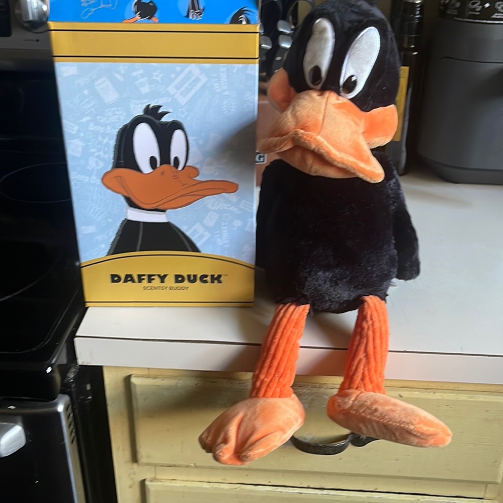 Daffy Duck sent buddy